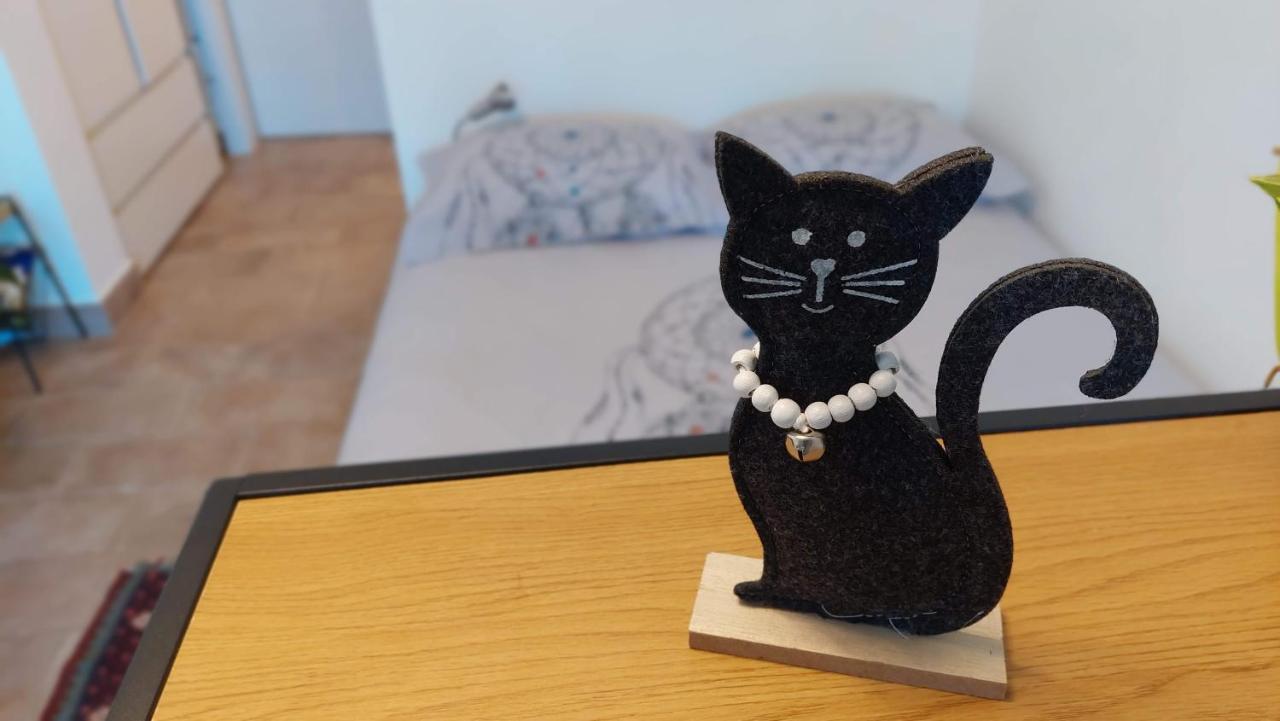 Pri Piratski Macki - At The Pirate Cat - Dal Gatto Pirata 科佩尔 外观 照片